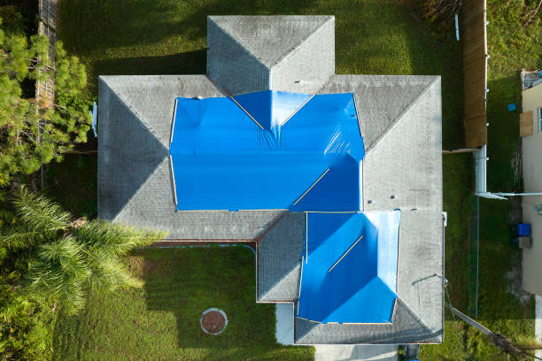Best Roof Maintenance and Cleaning  in Belleville, WI