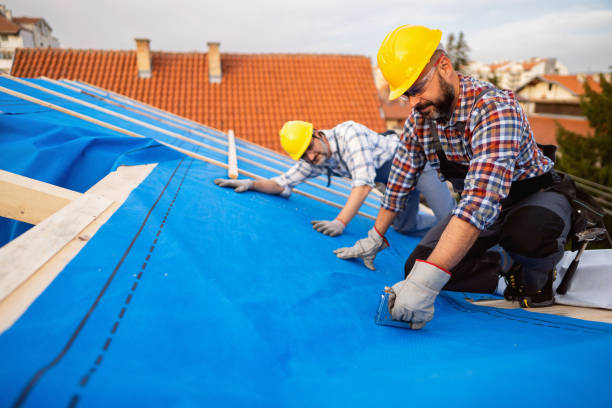 Best Rubber Roofing (EPDM, TPO)  in Belleville, WI